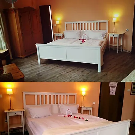 Otel Ohm Patt