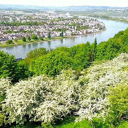 Ohm Patt Boppard