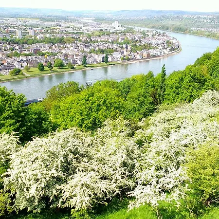 Ohm Patt Ξενοδοχείο Boppard