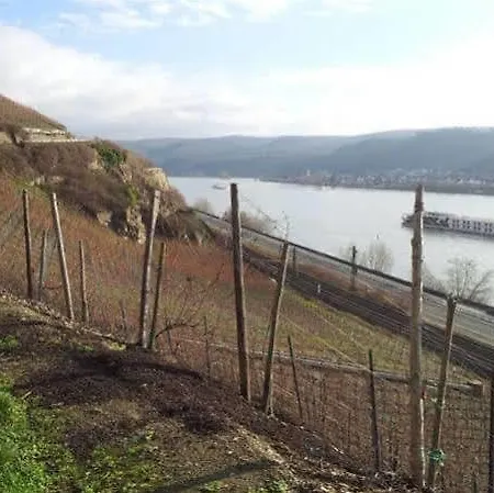 Ohm Patt 2* Boppard