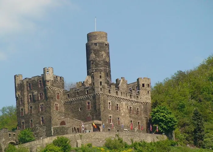 Ohm Patt 보파르트